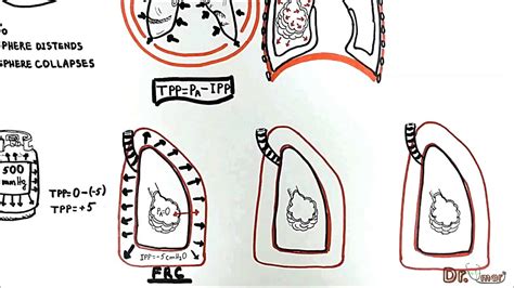 Transmural Pressures (transpulmonary, transthoracic, transrespiratory pressure) - YouTube