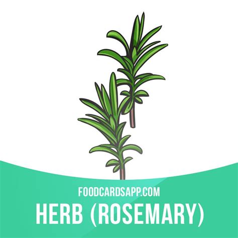 Rosemary: The Magical Herb for Memory Enhancement