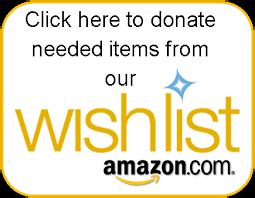 Fundraising with Amazon Wish Lists