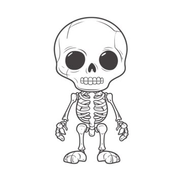 Drawing Of Skeleton Drawing For Kids Disambiguation Outline Sketch ...