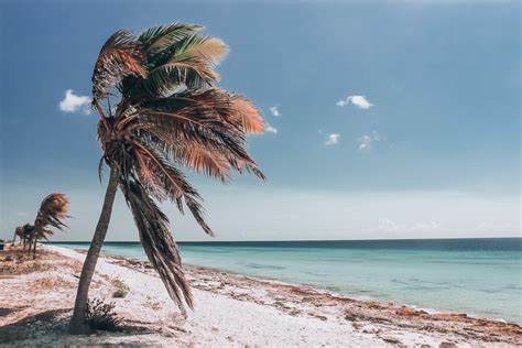 Best Things to do in Bonaire: Cruise Port Excursions You Can Do on Your Own - Live.Love.Run.Travel.