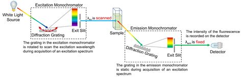 What are Absorption, Excitation and Emission Spectra?