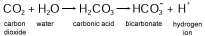 Carbonic Acid - Home