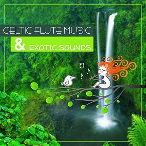 Amazon.com: Celtic Flute Music & Exotic Sounds: Celtic Instrumental ...