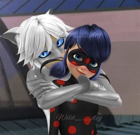 Chat Blanc And Antibug | Imágenes de miraculous ladybug, Fotos de cat noir, Cat noir