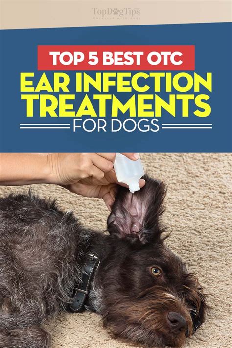 Top 5 Best Dog Ear Infection Treatment in 2023 (Over-the-Counter)