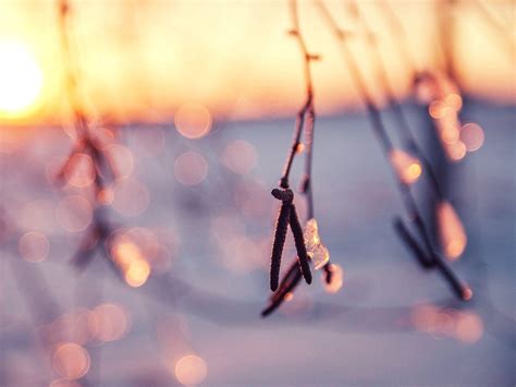 Winter Sunshine Wallpapers - Top Free Winter Sunshine Backgrounds ...