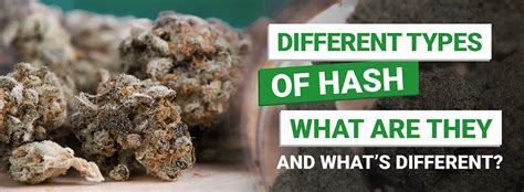 Different Types of Hash - What Are They and What's Different?