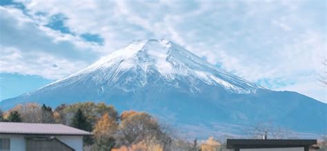 From Tokyo: Private Sightseeing Tour To Mount Fuji & Hakone