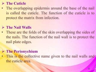 Structure of nail and diseases | PPT