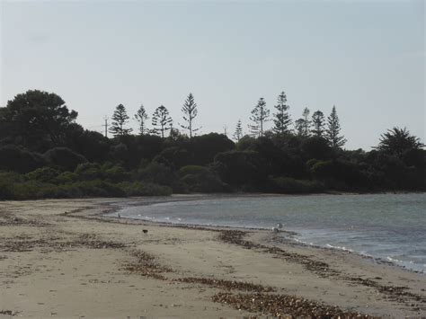 Walking from Brownlow to Kingscote Kangaroo Island | Kangaroo island, Island, Beach