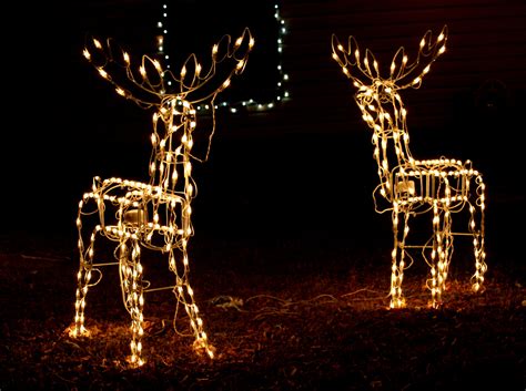 Reindeer Holiday Lights Picture | Free Photograph | Photos Public Domain