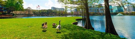 Pet-Friendly Hotels in Orlando - Places to Stay for Travelers with Pets