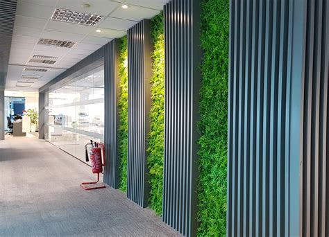 S.K Optimus | Artificial Green Wall Panel A038 | Nicosia, Cyprus