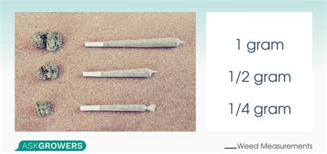 How to Measure Weed: Measurements, Sizes, Slang | AskGrowers