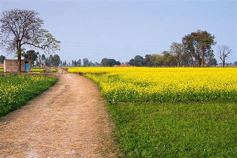 Pin by Zahra on PUNJAB & BEYOND! | Beautiful landscape photography, Village photos, Beautiful ...