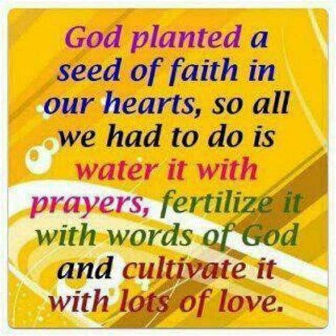 Planting the seed of faith | Inspirational quotes | Pinterest ... | Bible quotes about love ...