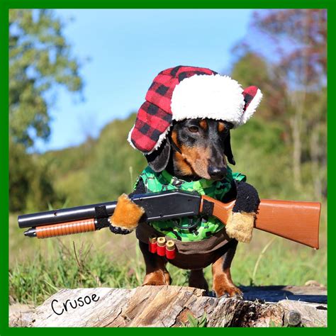 Stunning Hunting Dog Costume Gun..Lets go for hunt.. : r/funny