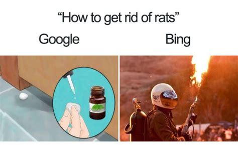 20 Of The Best Google Vs Bing These Memes | Most hilarious memes ...