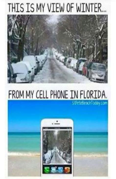 The 10 Best Florida Winter Memes - I Love South Florida