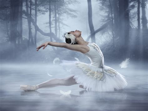 January 2015 Company Spotlight | News | Canada's Royal Winnipeg Ballet