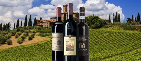 10 Most Popular Tuscan Red Wines | Red wine, Wines, Most popular red wine