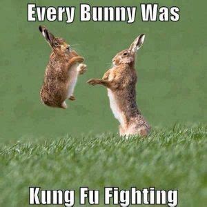 every bunny was kung fu fighting meme - East Valley Martial Arts | Karate