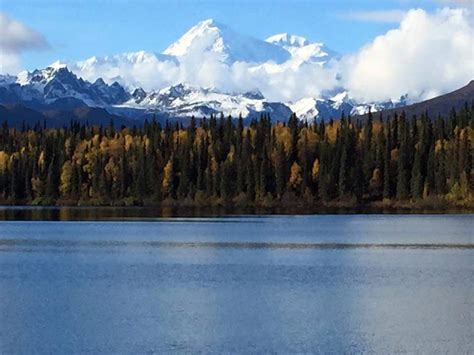 Denali from Denali State Park 4 years ago : r/camping