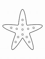 Starfish Coloring Pages Colors Star sketch template