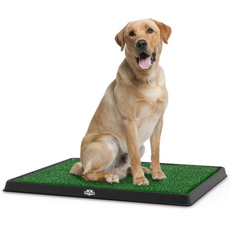 Artificial Grass Puppy Pad for Dogs and Small Pets Review