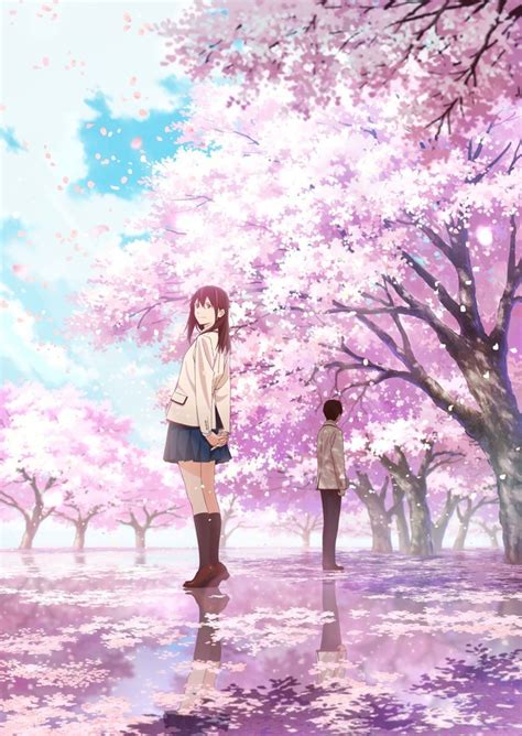 Crunchyroll - Life is Fleeting Like the Cherry Blossoms in "I Want to Eat Your Pancreas" Key Visual