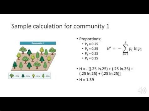 What is the Shannon index and what is it for? - science - 2024