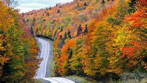 MaineFoliage.com: When & Where to Visit: Northern Maine (Zone 6 & 7)