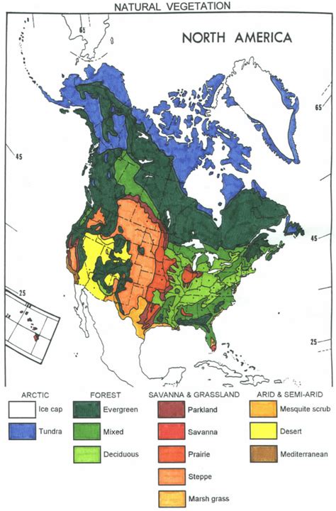 Vegetation Map Of North America - Cities And Towns Map