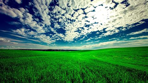 Field Sky Grass 4K HD Wallpapers | HD Wallpapers | ID #31419