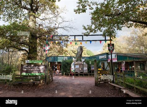 Sherwood Forest Visitor Centre, Nottinghamshire Stock Photo - Alamy