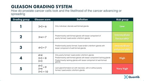 How can urologists improve patient care in the prostate cancer pathway?