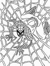 Free Printable Spiderman Coloring Pages For Kids sketch template
