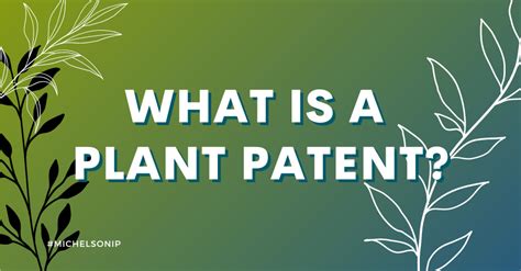 What is a plant patent? - Michelson IP