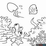 Coral Reef Coloring Page  Easy Drawing Guides sketch template