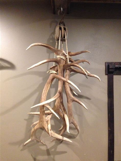 Big Elk Shed Antlers Hanging from Anique Pulley in Trophy Room Man Cave ...