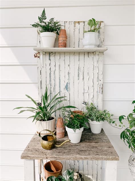 Indoor Plants for Beginners - Sarah Jane Christy