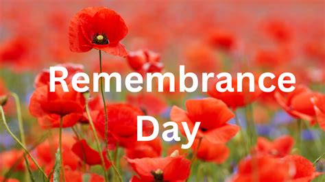 Remembrance Day 2023 and poppy color meaning - UK Diaries