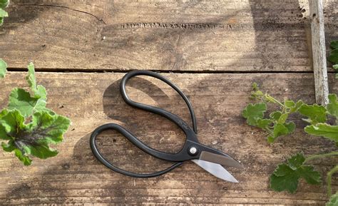 Garden Scissors - Little Garden Shop | Claudia de Yong Designs