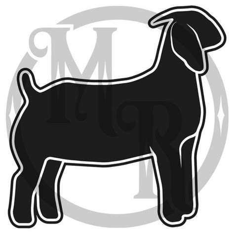 Items similar to Show Boer Goat Decal on Etsy