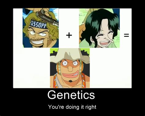 One piece: Usopp heredity meme pointing this out its revled his dad ...