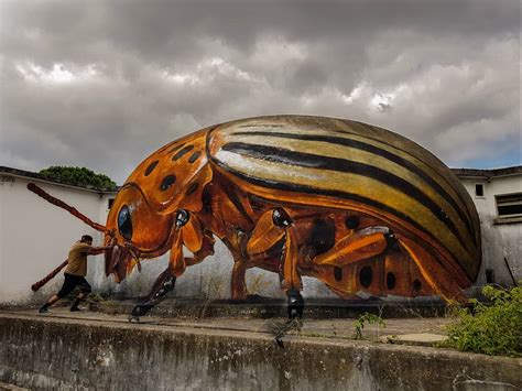 This Street Artist Paints 3D Insects Graffiti and Most of Them Will Scare You - Wallpaper Data