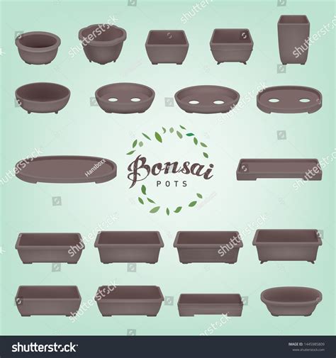 Bonsai Pots Type Pots Collection Stock Vector (Royalty Free) 1445985809 ...