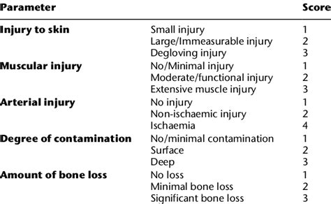 Parameters of the OTA open fracture classification 9 | Download Table