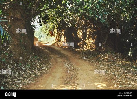 A path leading into the wildlife sanctuary, Dudhsagar falls. Goa, India ...